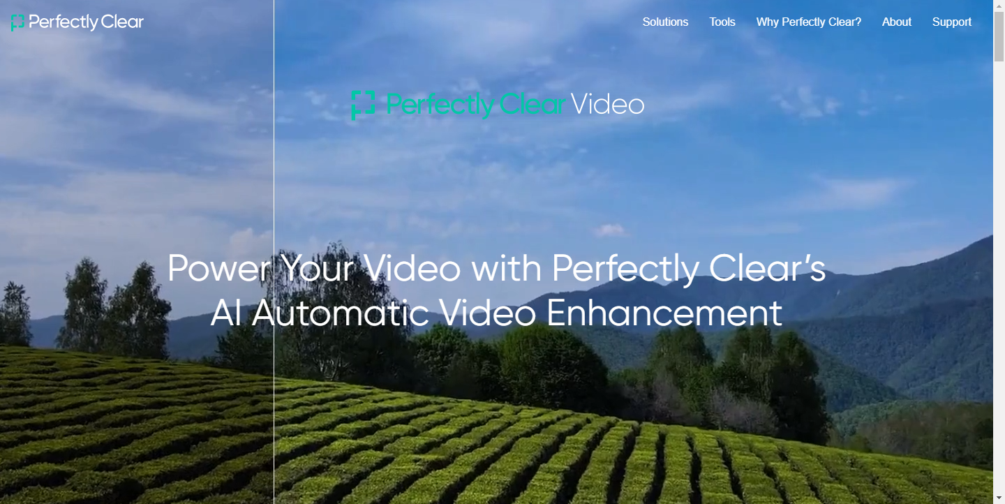 Perfectly Clear Video